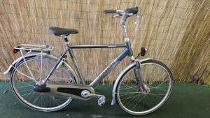 Gazelle orange 2646