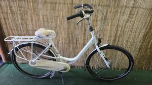 Gazelle Bloom C7 2648