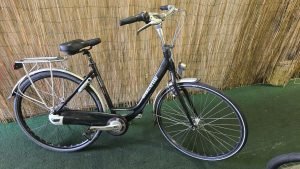 Gazelle Orange 2654