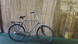 gazelle Montreux 2687