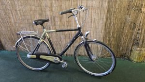 Gazelle Orange 2688