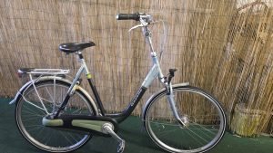 Gazelle Orange 2689
