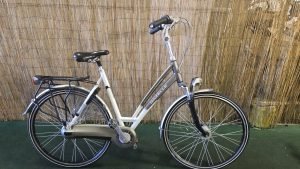 Gazelle Chamonix Plus 2690