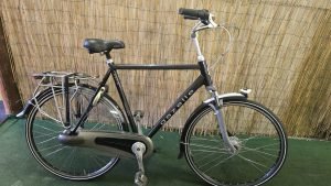 Gazelle Paris Plus 2714