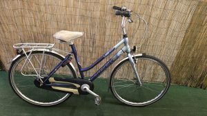 trek L300 2738