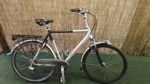 Gazelle Allure 2743