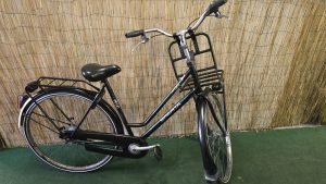 Sparta Athena 2803