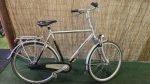 Gazelle Orange 2806