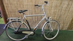 Gazelle Orange 2806