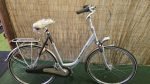 Gazelle Orange 2809