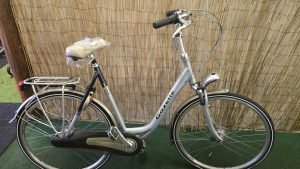 Gazelle Orange 2809