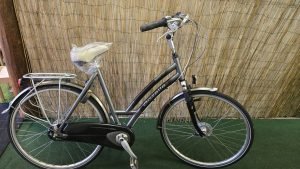 Gazelle Davos 2818