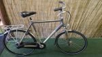 Montego Society 2824
