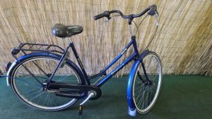 Gazelle Free 2845