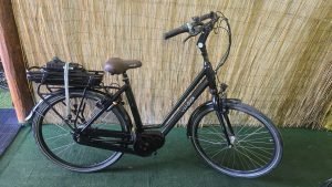 VanDijck Gaia 2850204