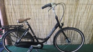 Gazelle Bloom C7 2856