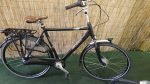 Gazelle orange C7+ 2861