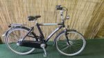 Gazelle Touche 2893