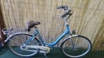Gazelle Bloom 2898