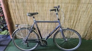 Gazelle Geneve 2918